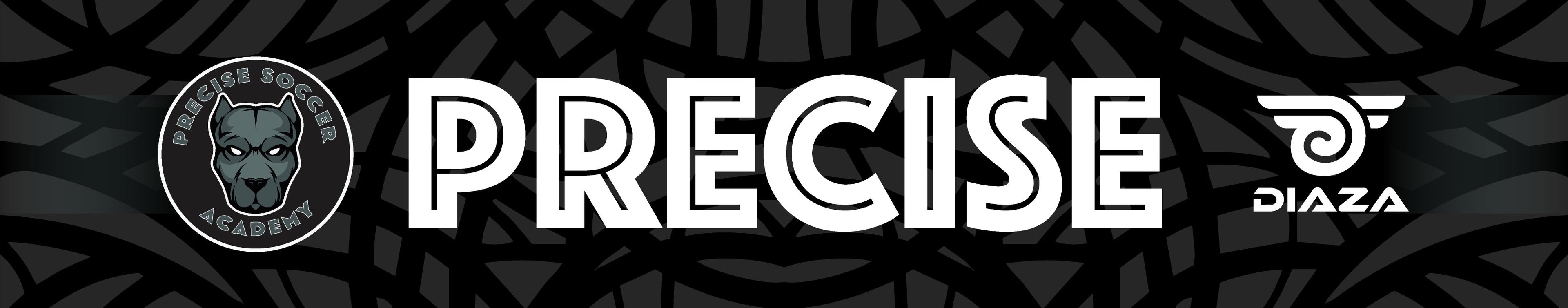 Precise Academy