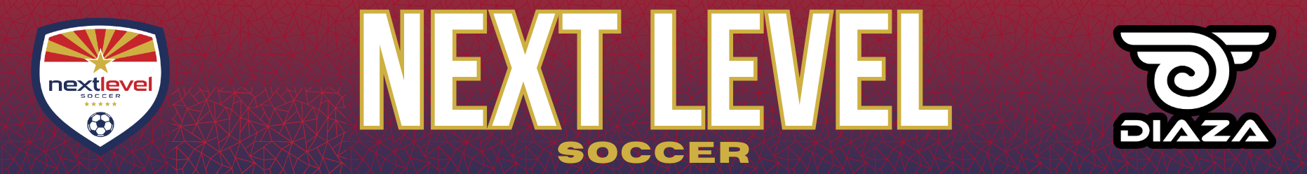 Next Level Soccer