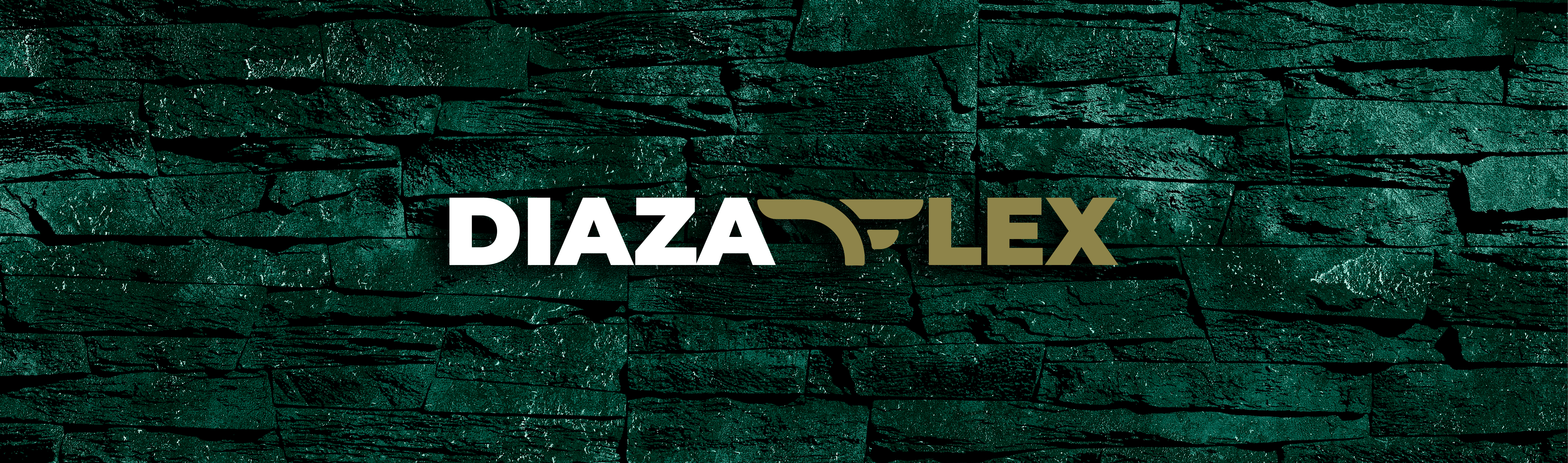 Diaza Flex Hombres Banner