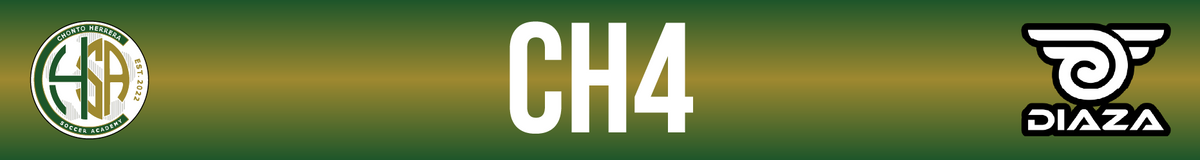 Team Banner