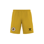 NEI FC Tri-Tone Practice Kit Gold, Black - Diaza Football 