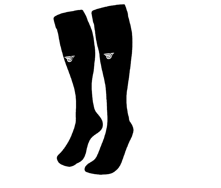 SI Guardians Home Socks